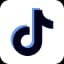 TikTok Marketing Partner
